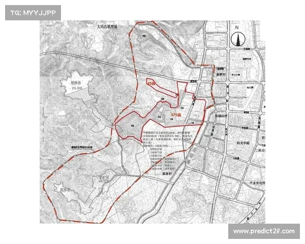 重庆首条运动主题观光路线启动 以板球为核心打造文旅新亮点
